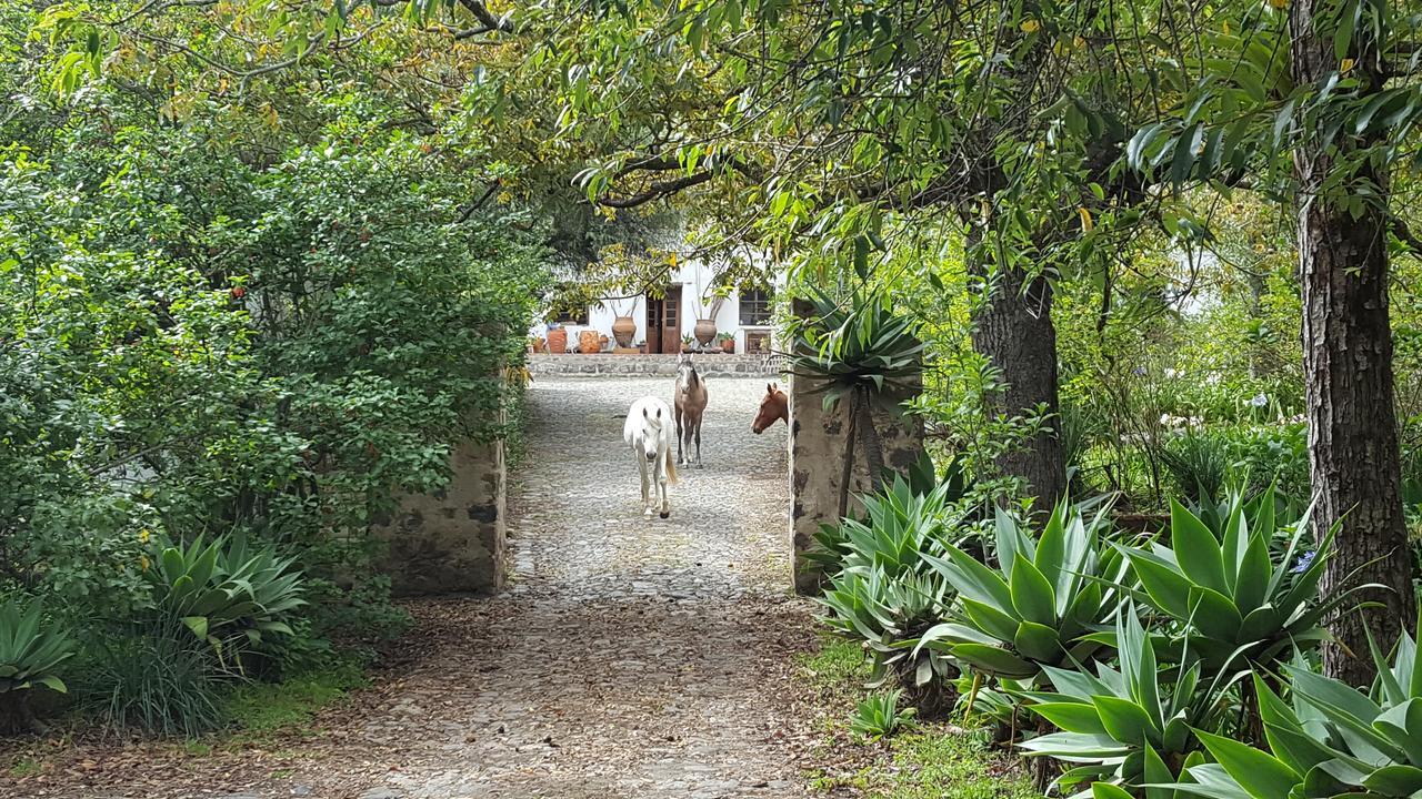 Hôtel Hacienda Guachala à Cayambe Extérieur photo